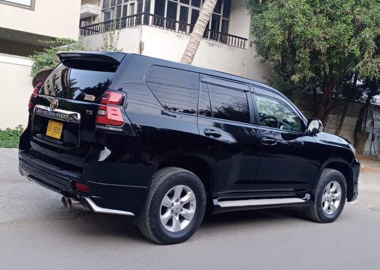 Professional corporate transport service fleet